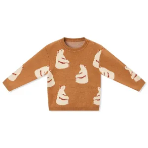Honey Bear Birdseye Jacquard Knitted Sweater